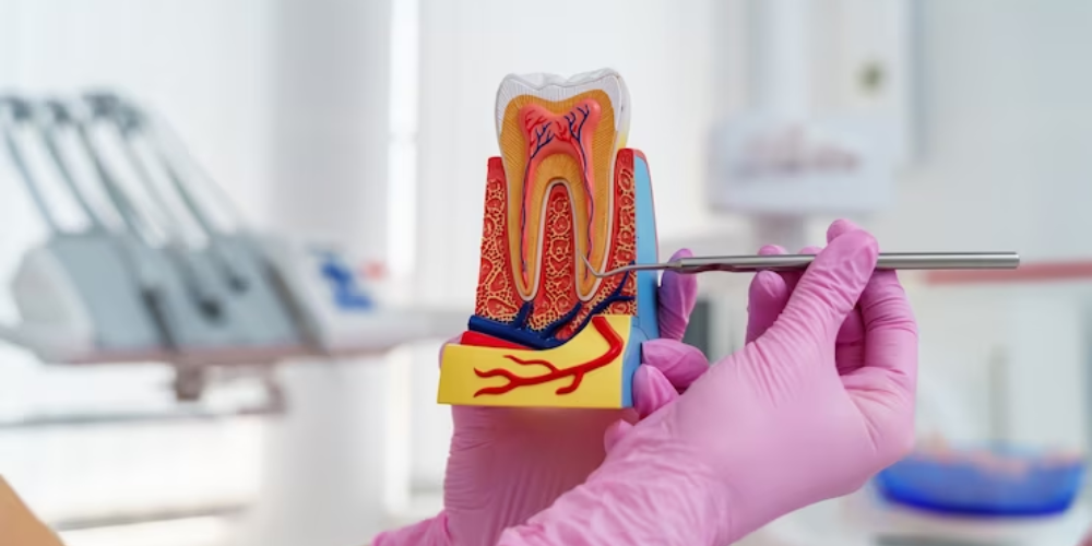 What Happens If The Root Canal Treatment Was Left Incomplete?